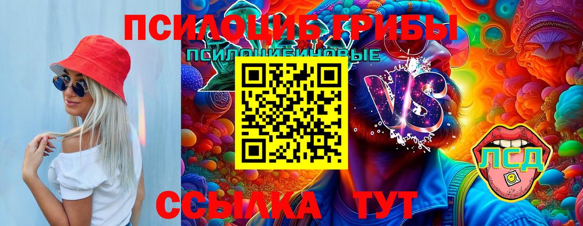 Галлюциногенные грибы Cubensis  Вход с VPN  Биробиджан 