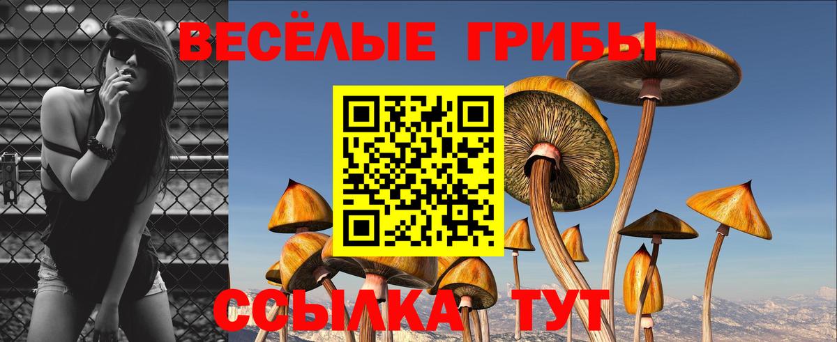 Псилоцибиновые грибы Magic Shrooms Биробиджан